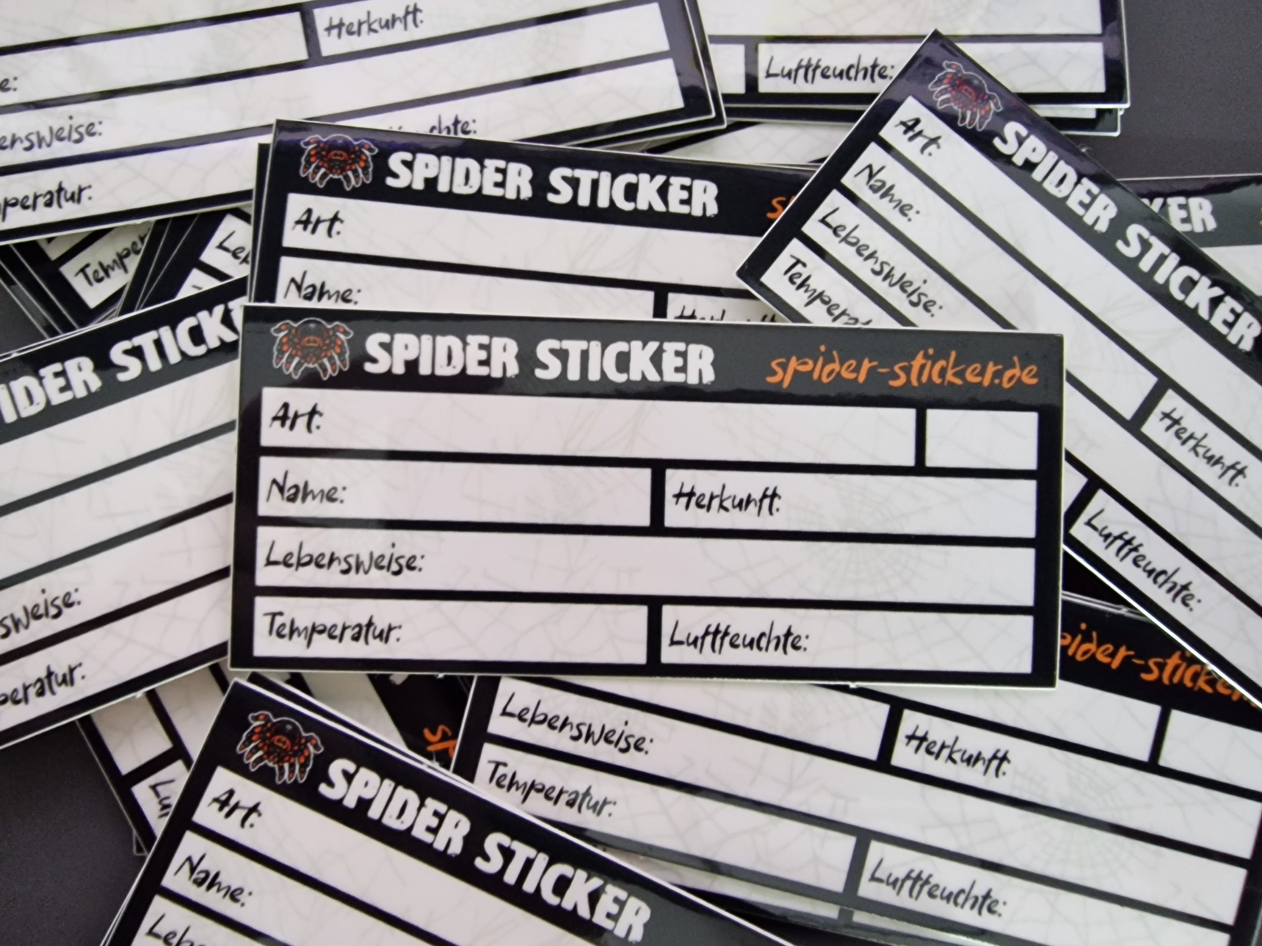 Spider Sticker Terrarium Beschriftung