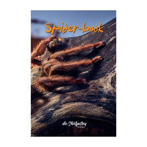 Spider book Design 4