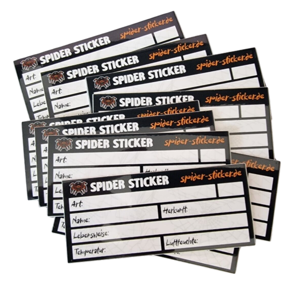 10er Pack Spider Sticker Terrarium Beschriftung Aufkleber